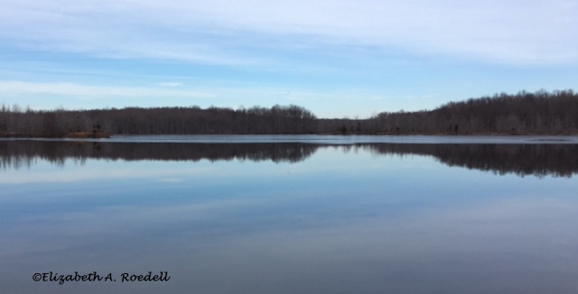 Plainsboro Preserve