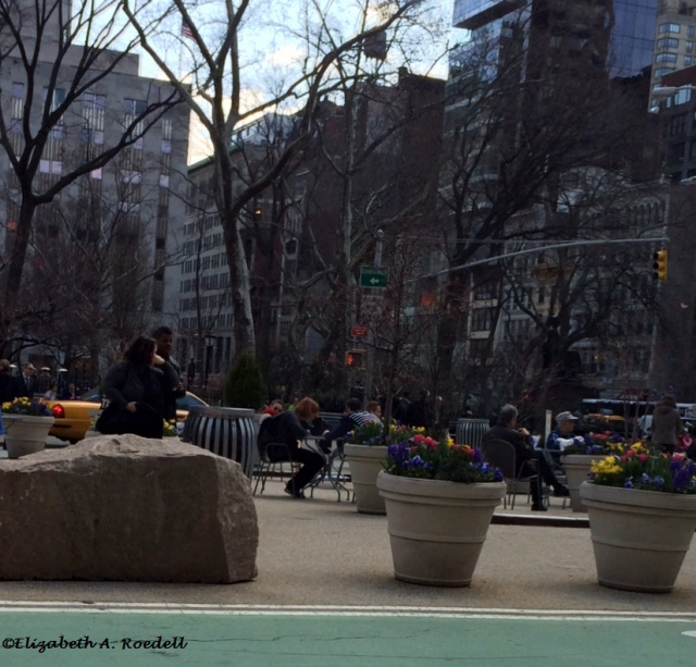 Spring Flowers - New York City