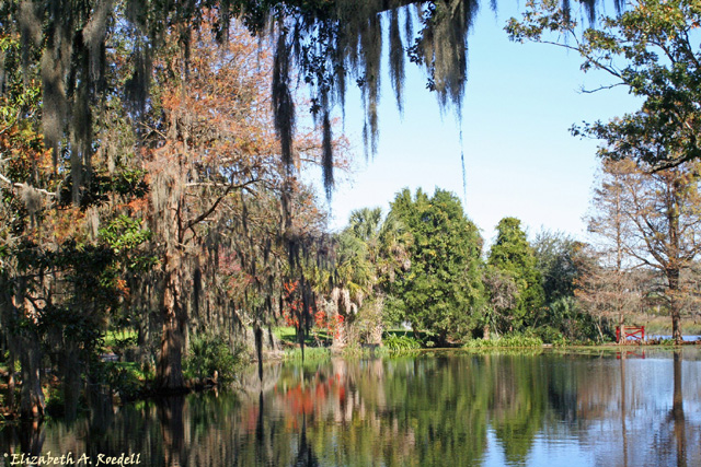 Magnolia Gardens, Charleston, SC