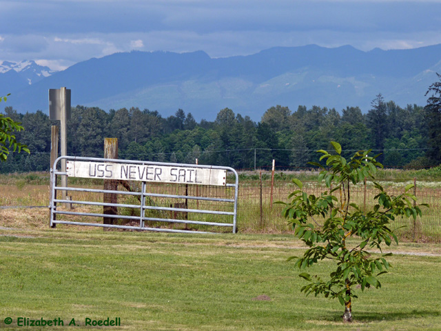 Sedro Woolley, WA - July 2010