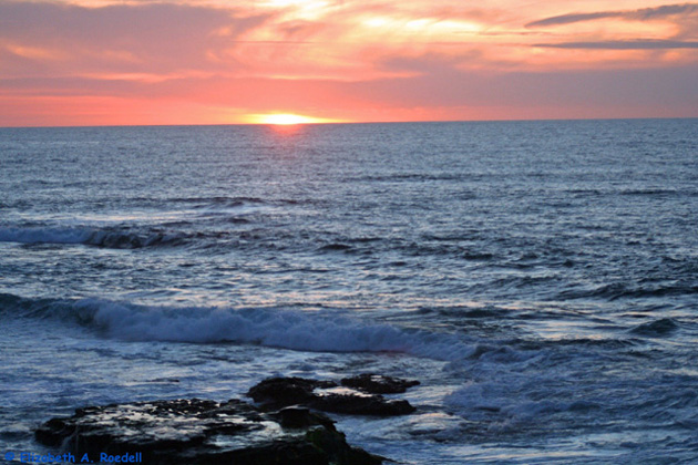 La Jolla Cove, CA - Feb. 2010