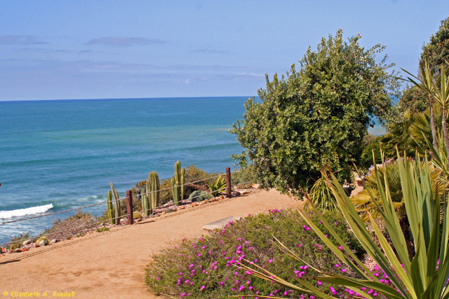 Encinitas, CA - March 2010