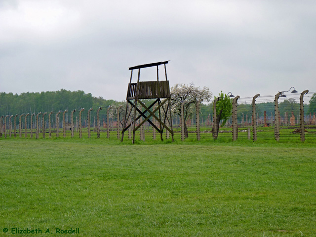 Birkenau - May 2010