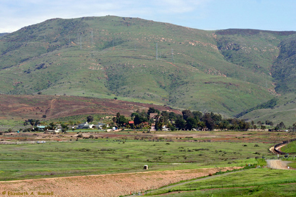 Sweetwater Trails, Chula Vista, CA - Feb. 2010