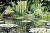 Monet's Garden, Giverny, FRANCE